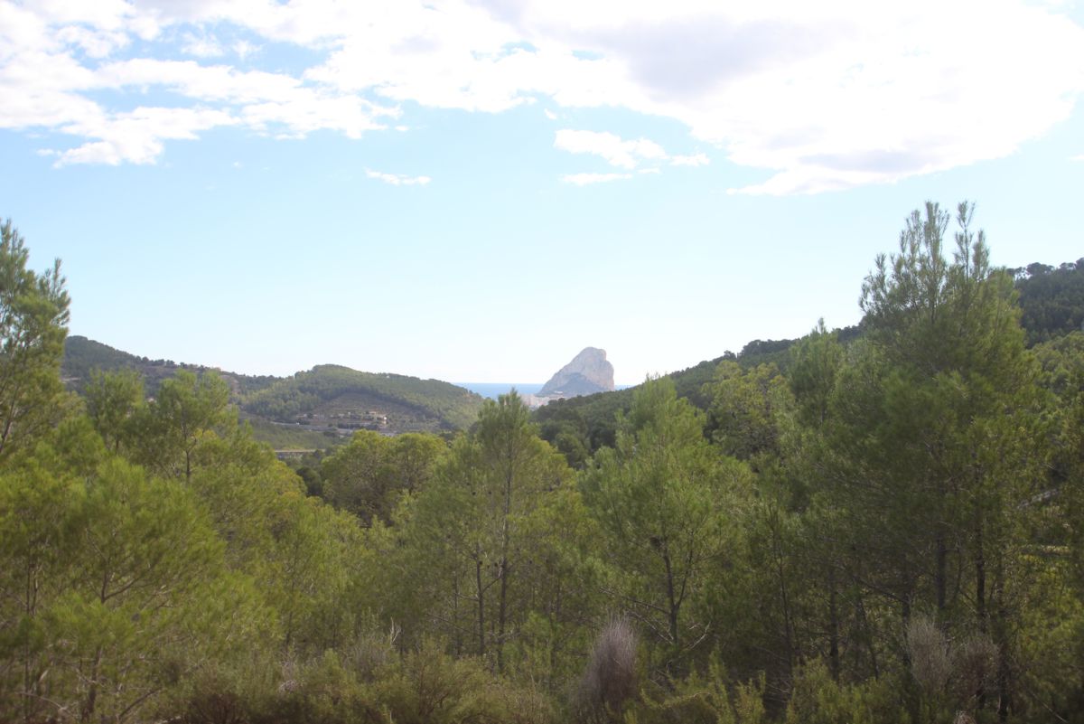 Plot for sale in Pda. Casamia, Benissa, Alicante — photo 8