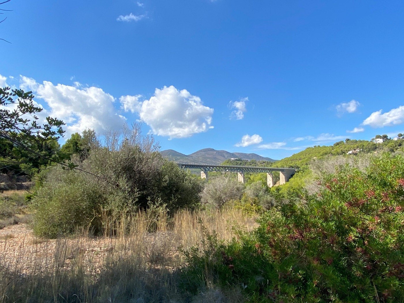 Well-situated rustic land, quite flat, in a rural area near Calpe. — photo 9