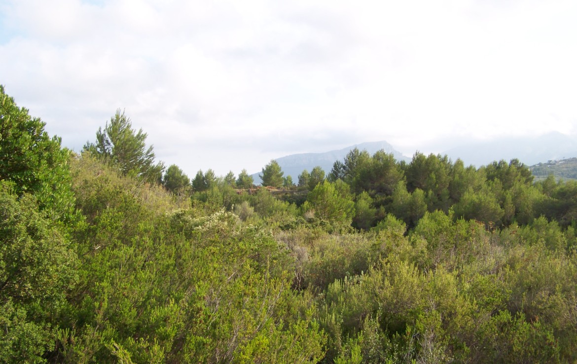 Tomt til salgs i Benissa — bilde 4