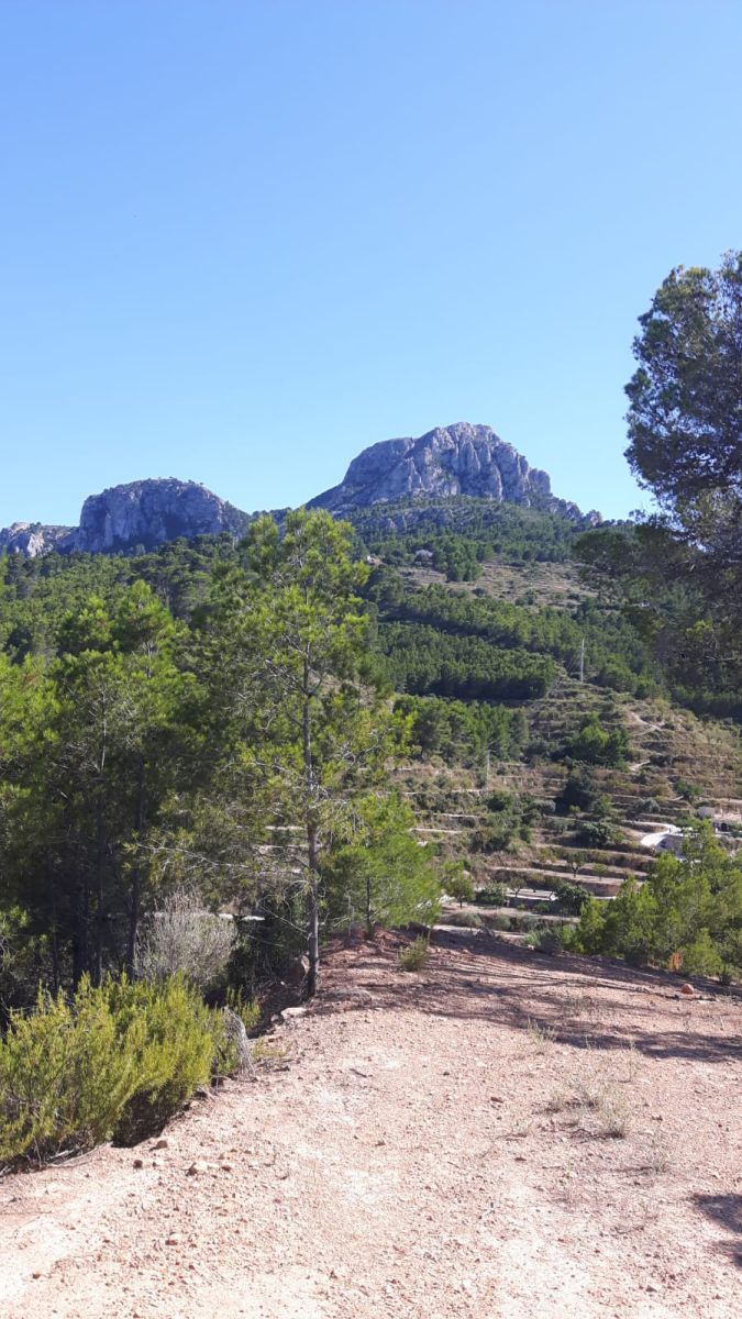 Plot for sale in Pda. Casamia, Benissa, Alicante — photo 13