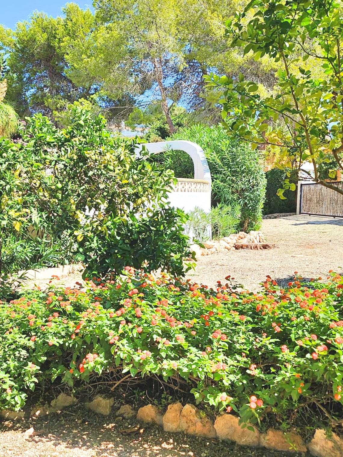 In the Los Pinos area If you identify with Mediterranean style...This is your home!! — photo 2