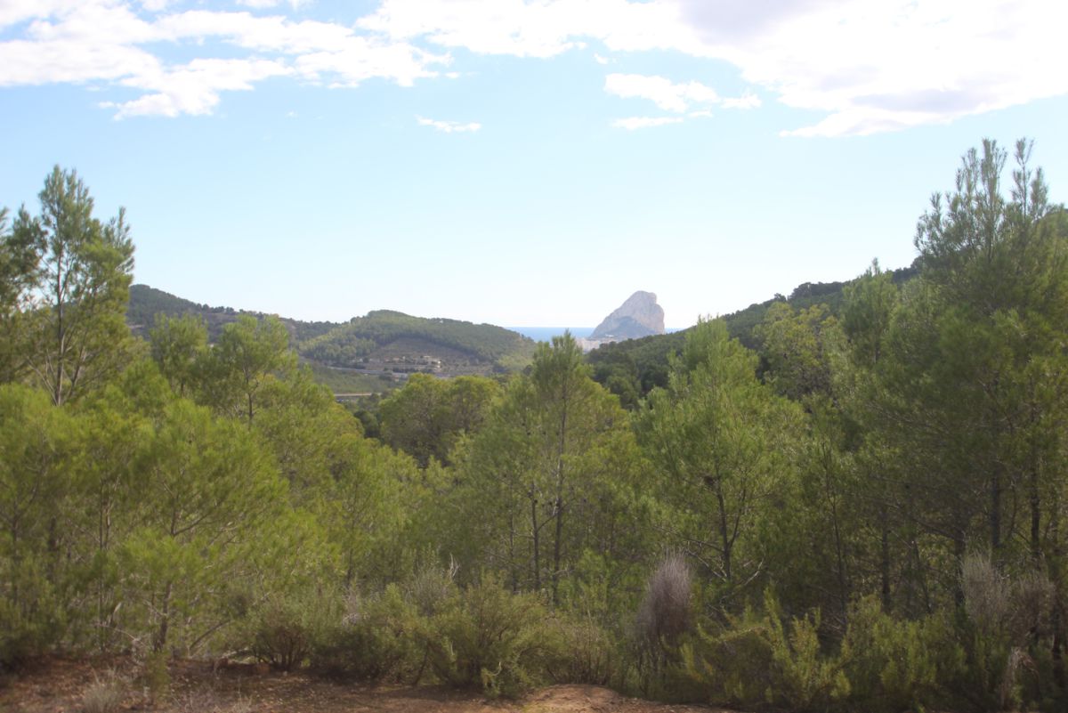 Plot for sale in Pda. Casamia, Benissa, Alicante — photo 5