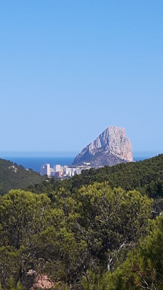 Plot for sale in Pda. Casamia, Benissa, Alicante — photo 12