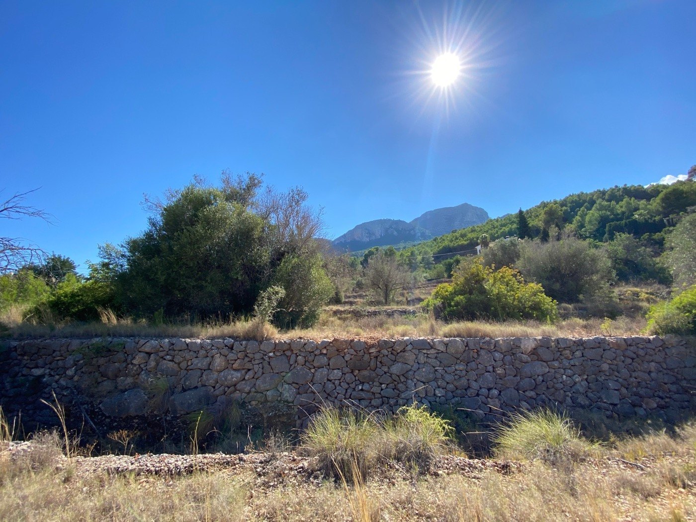Well-situated rustic land, quite flat, in a rural area near Calpe. — photo 2