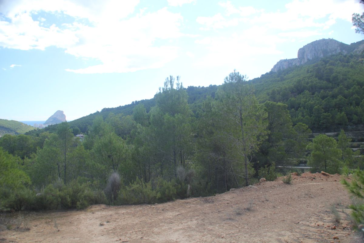 Plot for sale in Pda. Casamia, Benissa, Alicante — photo 3