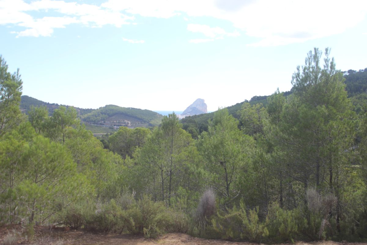 Plot for sale in Pda. Casamia, Benissa, Alicante — photo 7