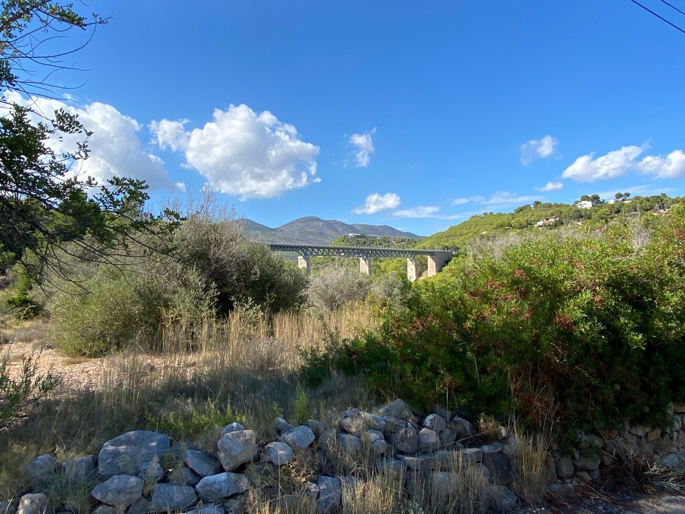 Well-situated rustic land, quite flat, in a rural area near Calpe. — photo 7