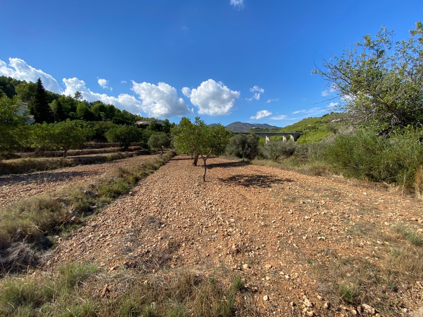 Well-situated rustic land, quite flat, in a rural area near Calpe. — photo 5