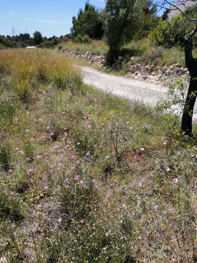 Plot for sale in Calpe — photo 4