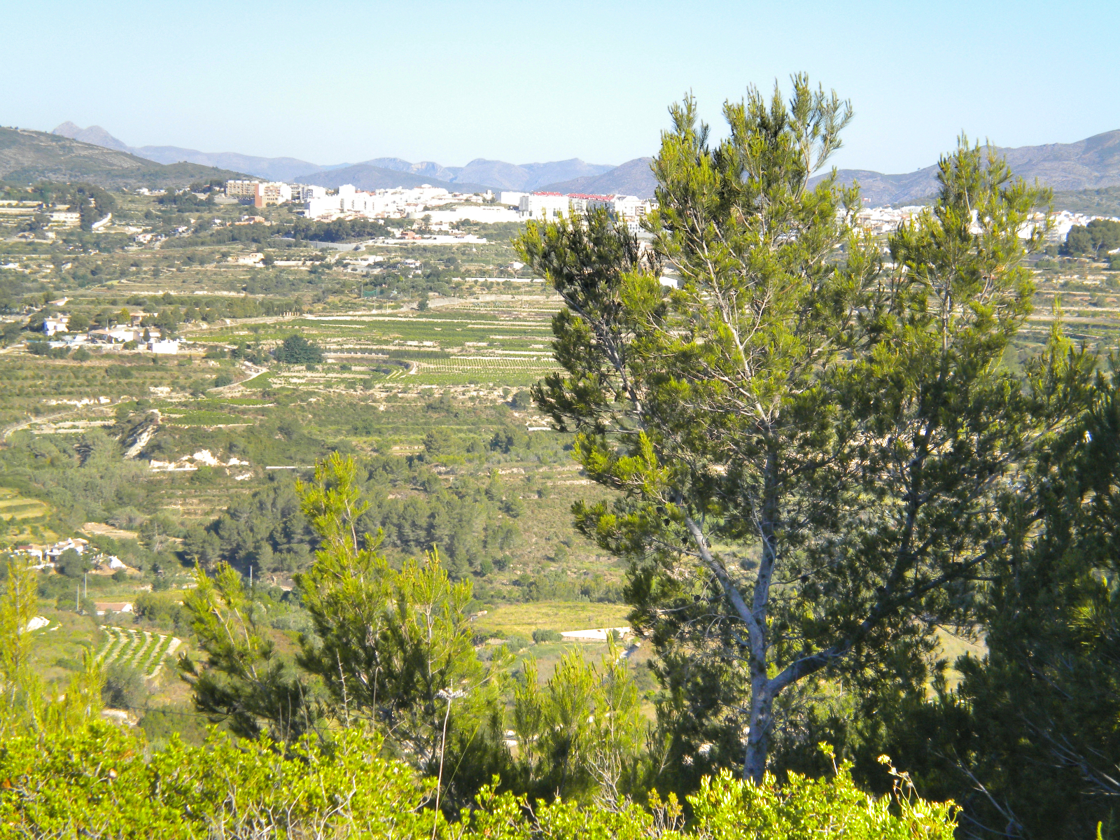 Großes Grundstück in Benissa — Foto 15