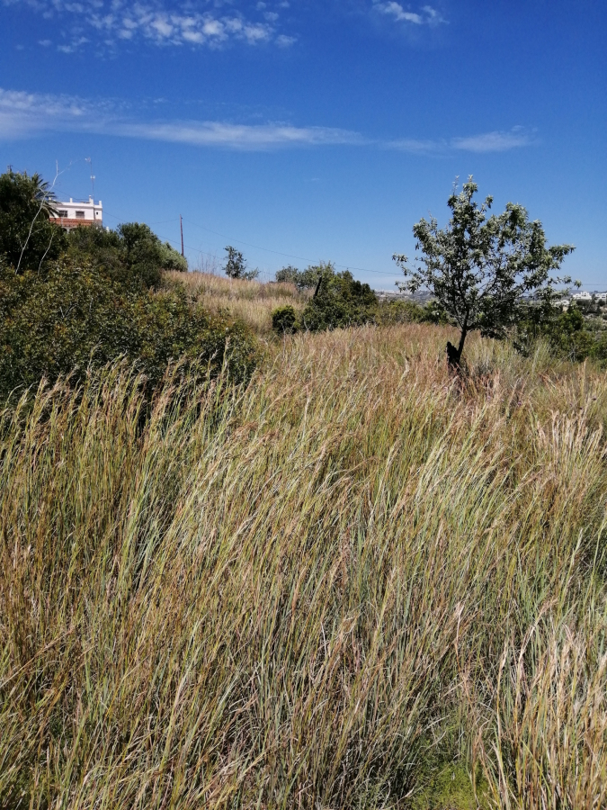 Plot for sale in Calpe — photo 6
