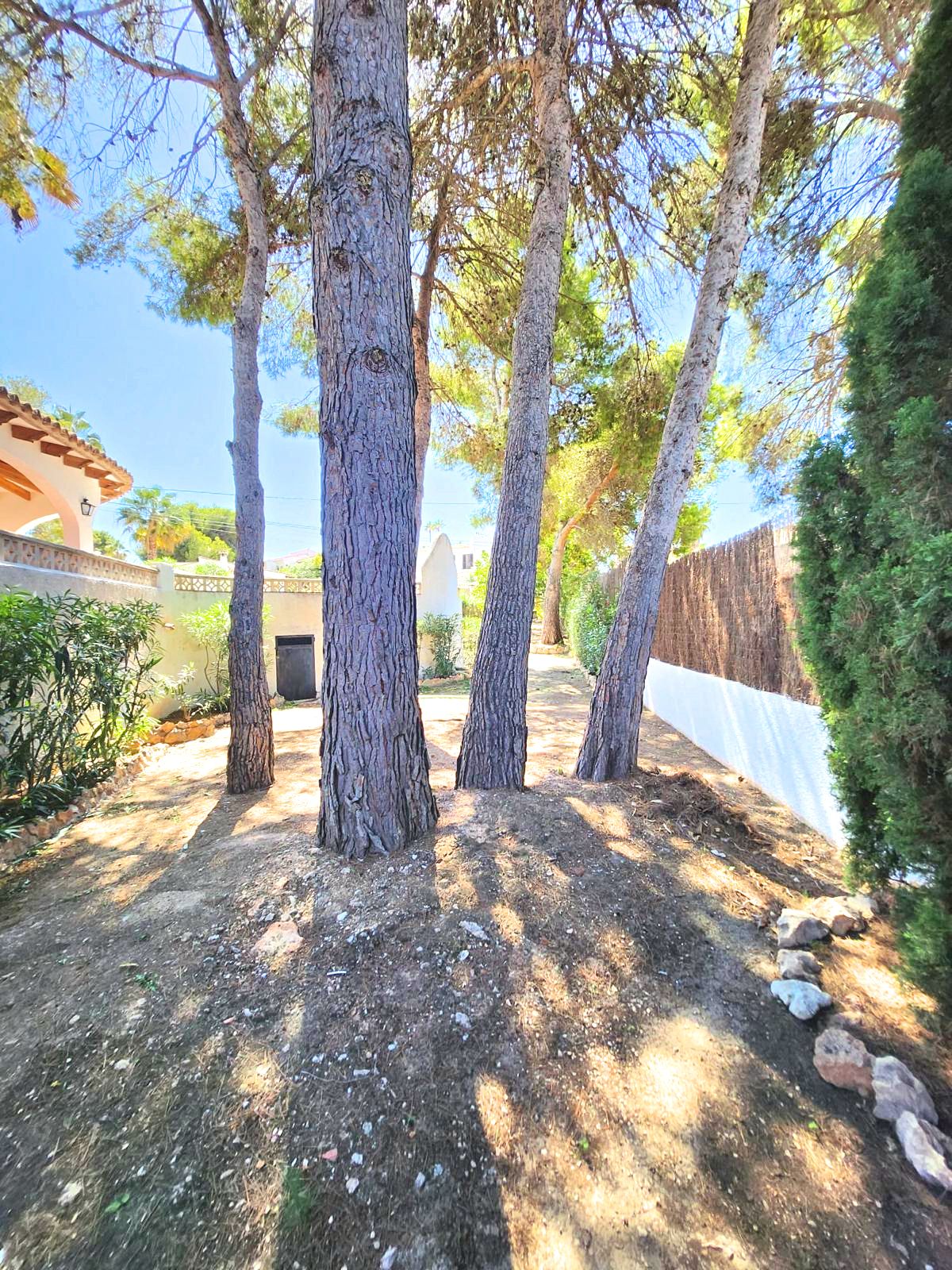 In the Los Pinos area If you identify with Mediterranean style...This is your home!! — photo 37