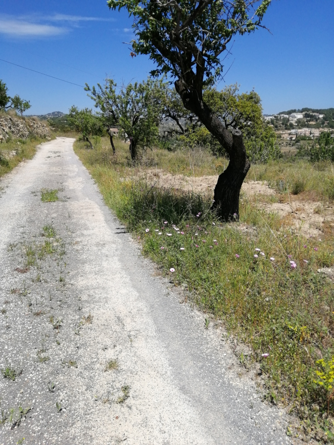 Plot for sale in Calpe — photo 5