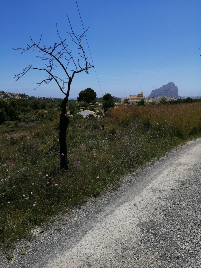 Plot for sale in Calpe — photo 7