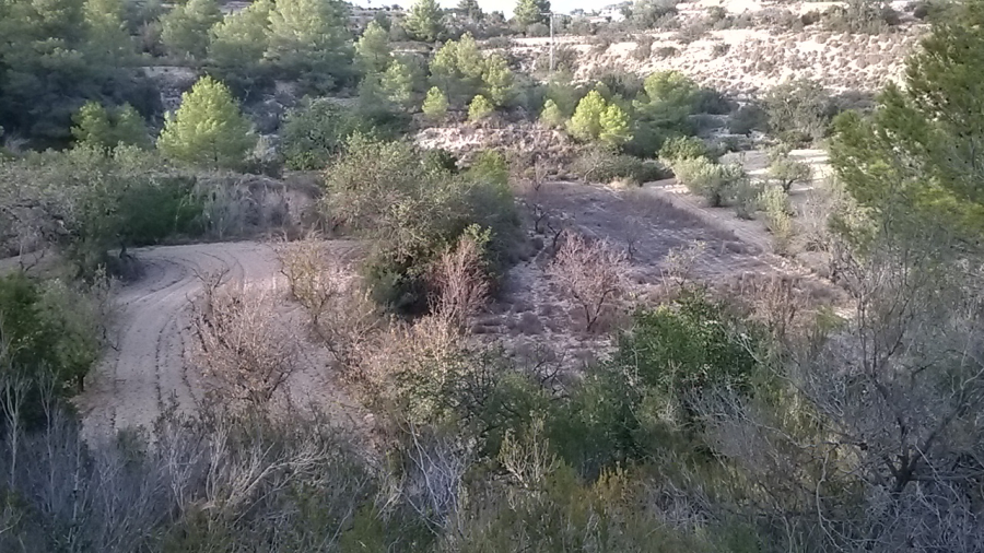 Plot for sale in Calpe — photo 5