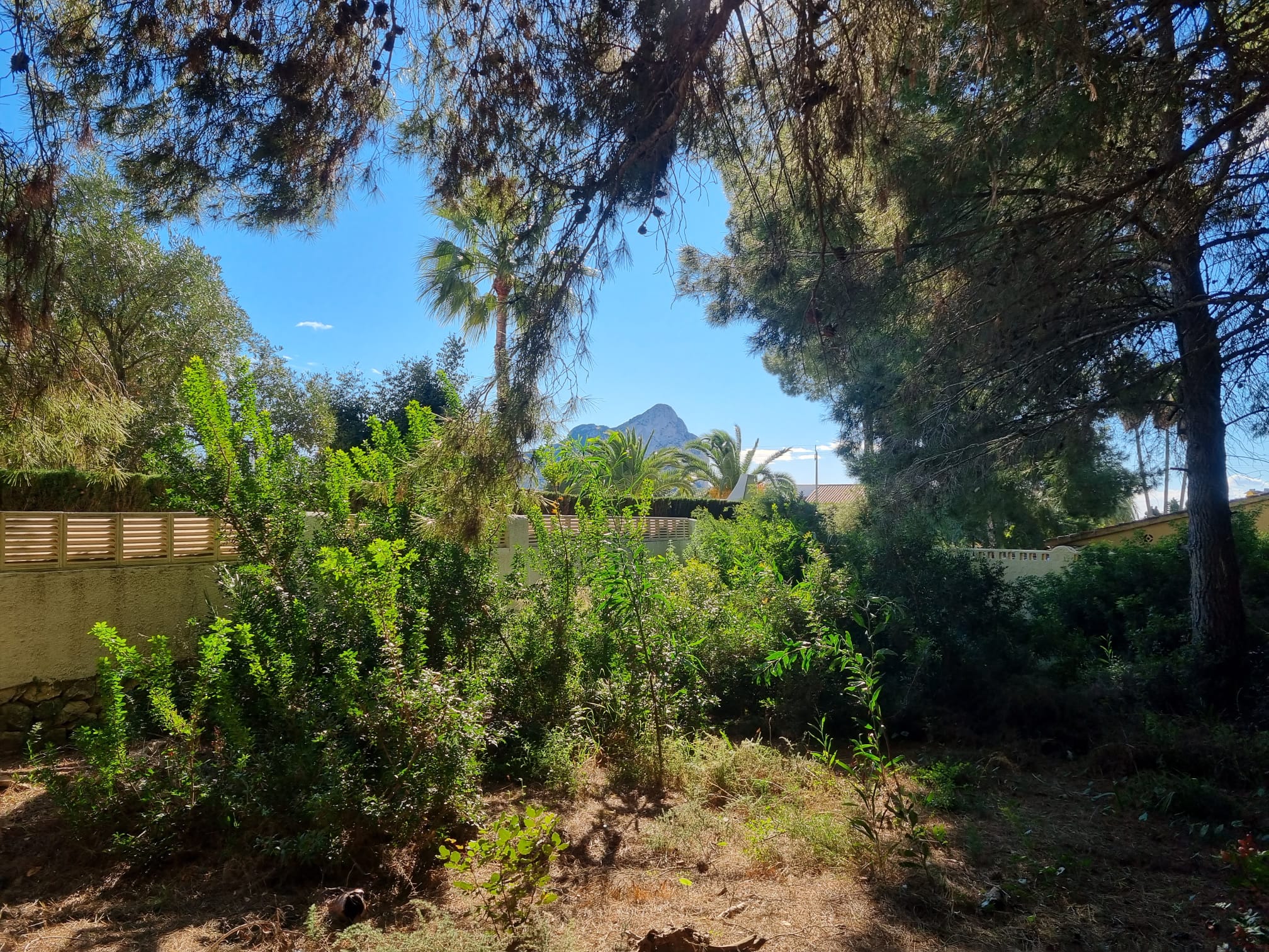 PLOT OF LAND IN LA MERCED CLOSE TO ALL AMENITIES.