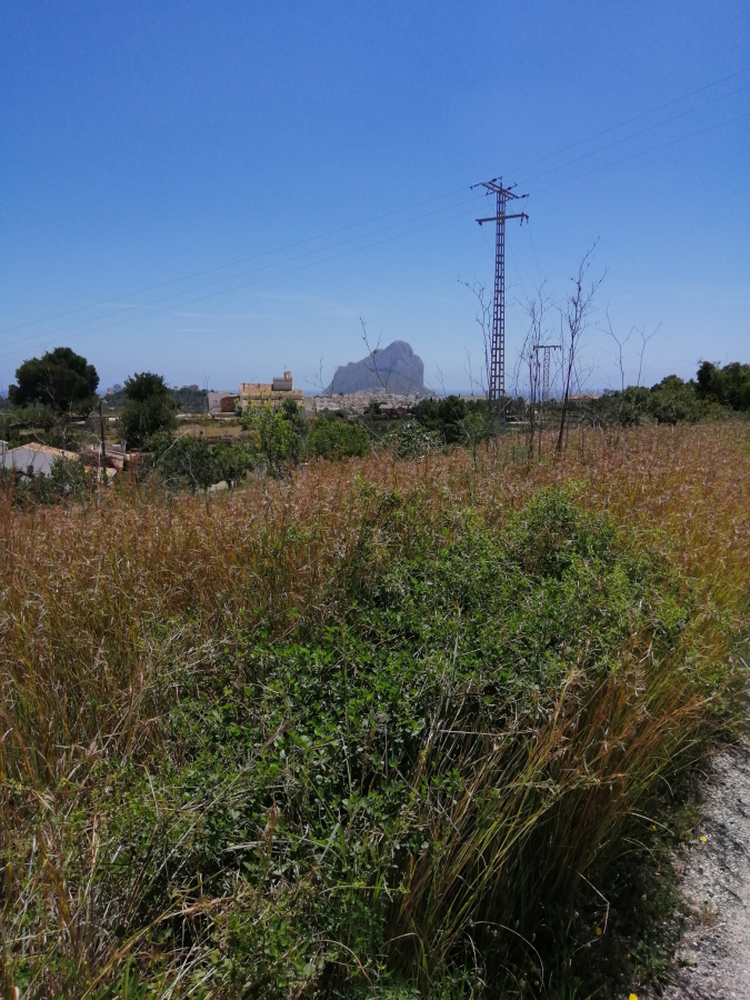 Plot for sale in Calpe — photo 3