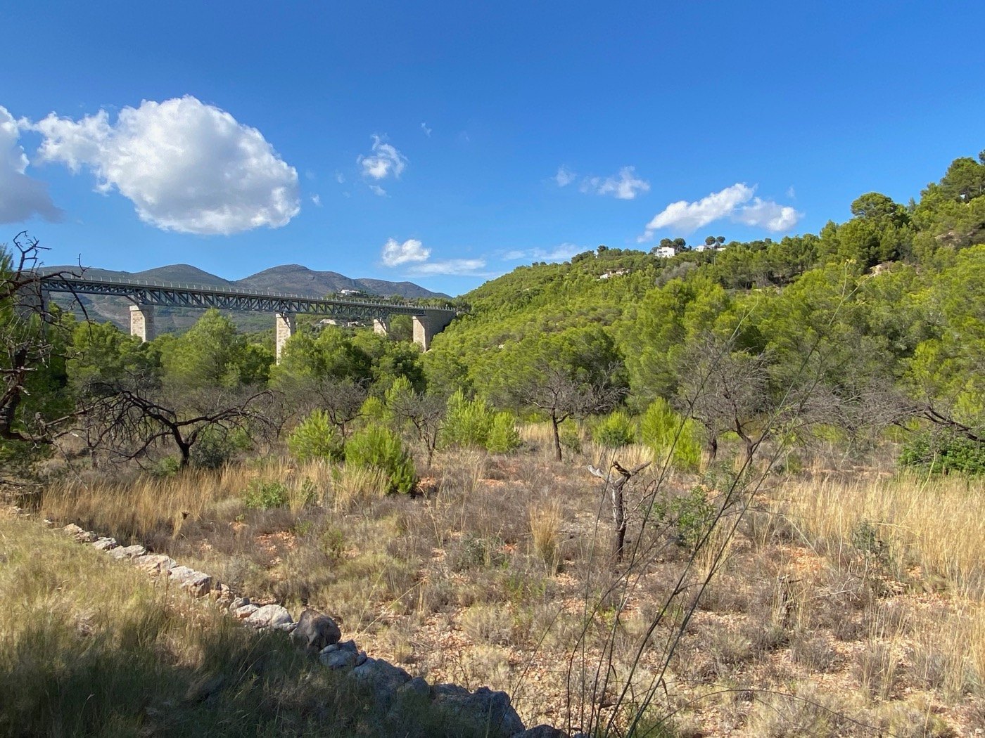 Well-situated rustic land, quite flat, in a rural area near Calpe. — photo 3