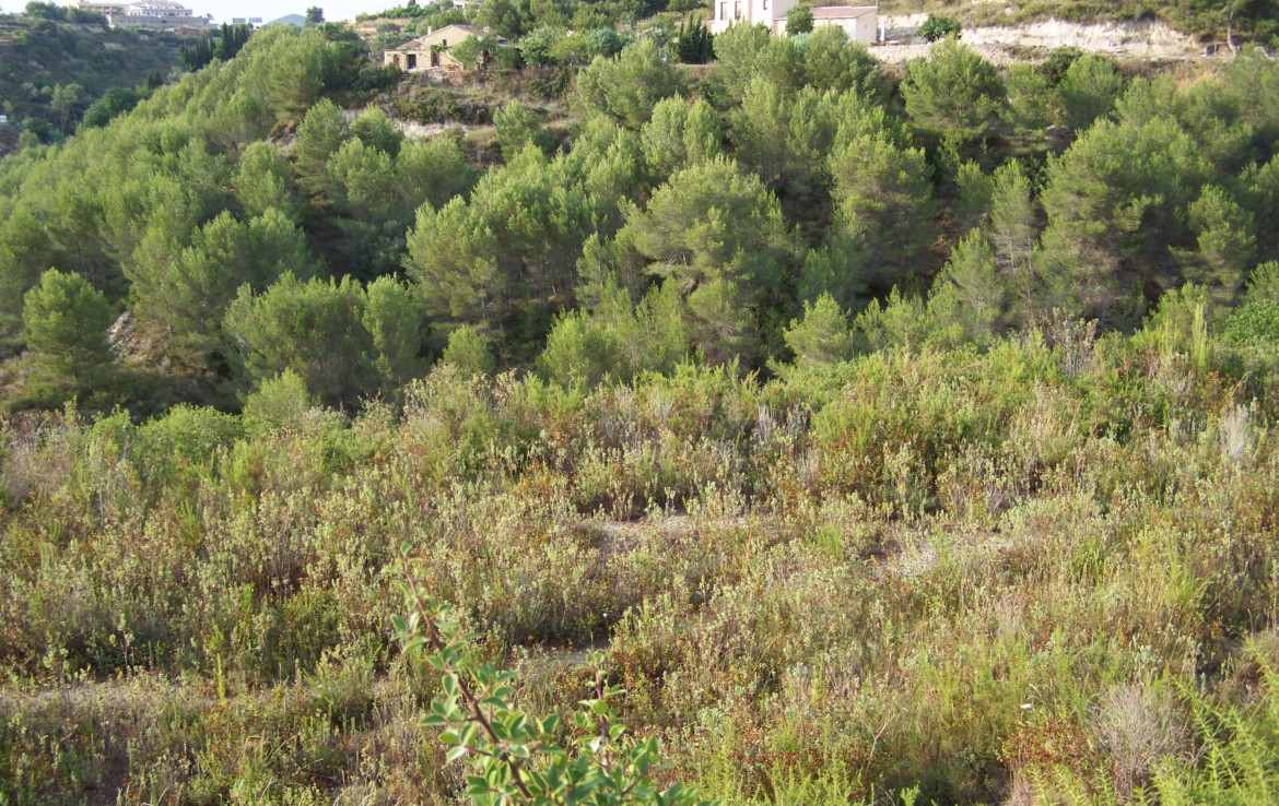 Tomt til salgs i Benissa — bilde 2