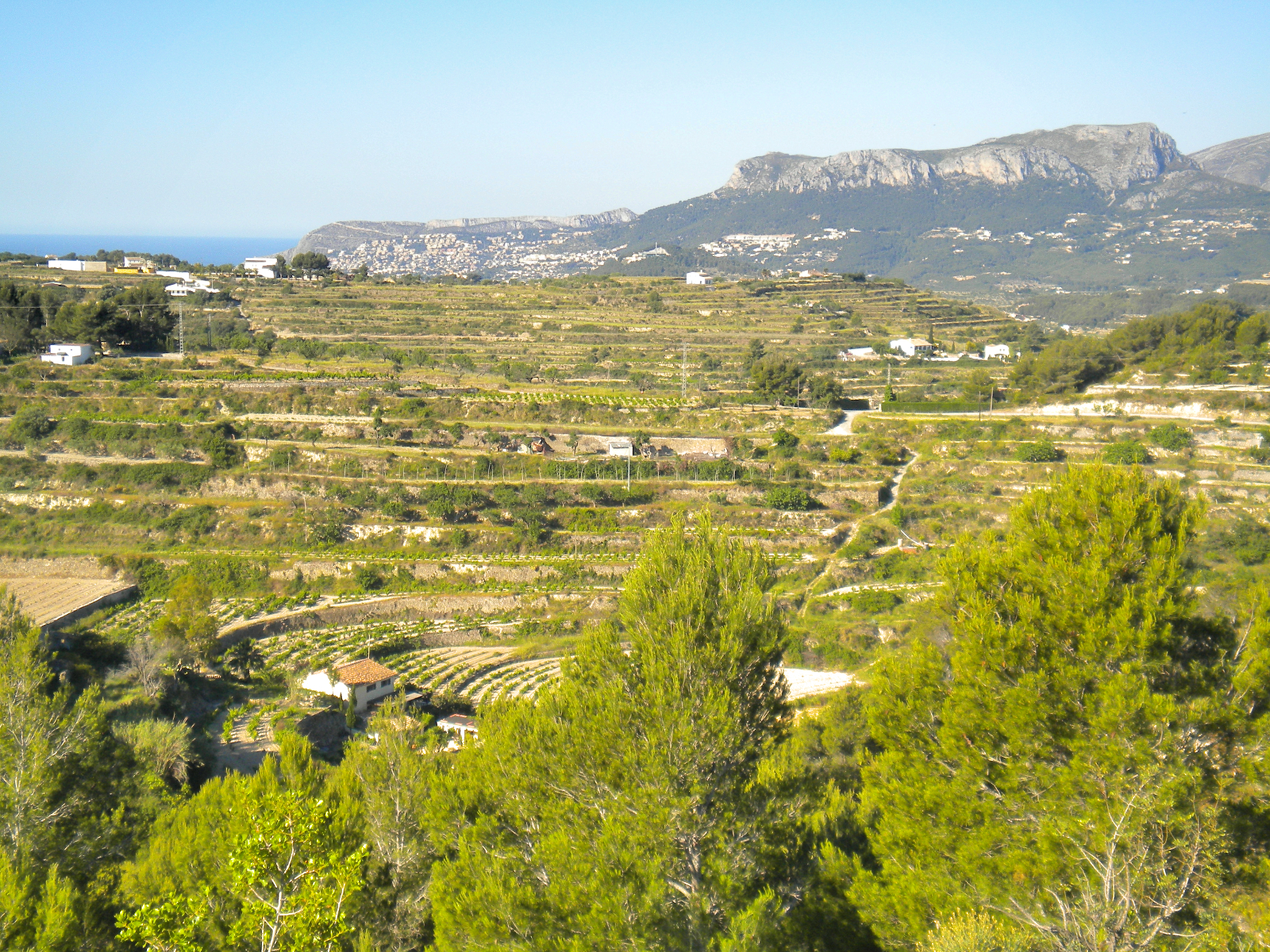 Großes Grundstück in Benissa — Foto 12
