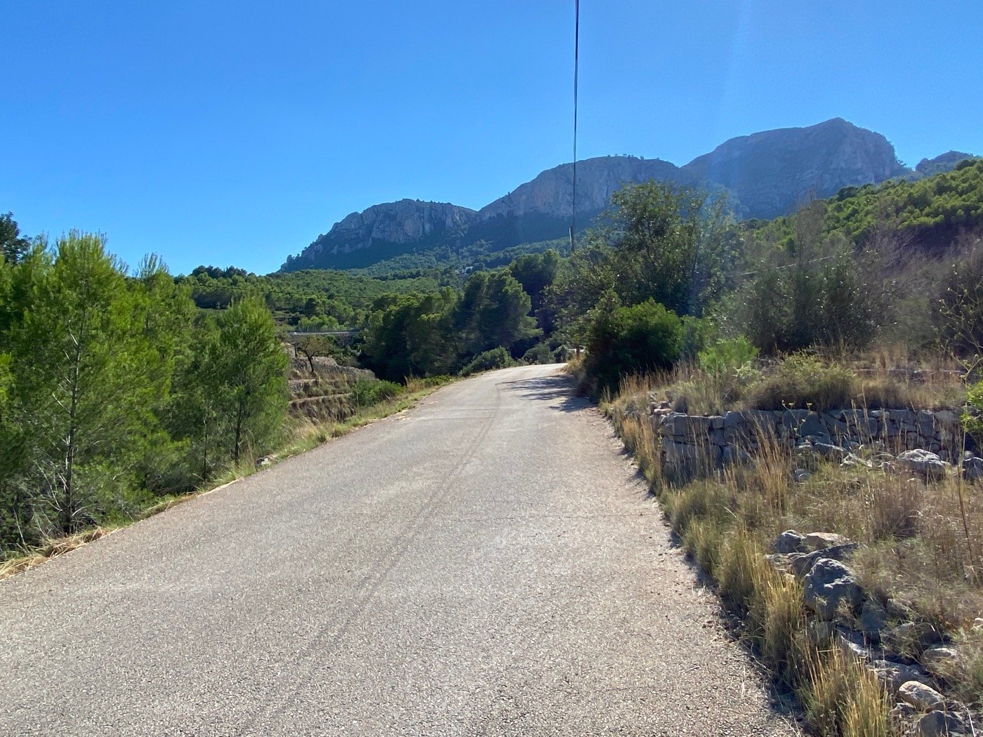 Well-situated rustic land, quite flat, in a rural area near Calpe. — photo 4