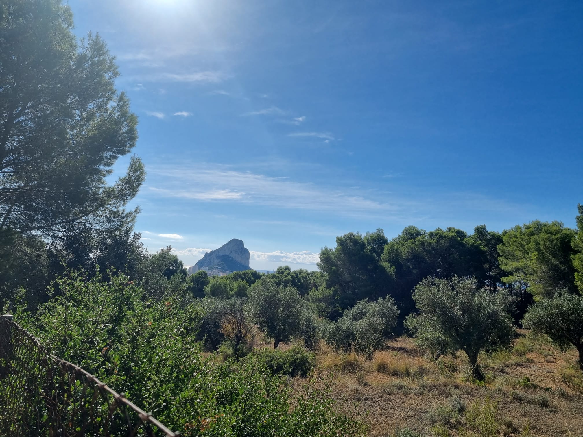 RUSTIC LAND IN GARDUIX URBANIZATION WITH 17,000 SQUARE METERS AND SEA AND PEÑÓN VIEWS.