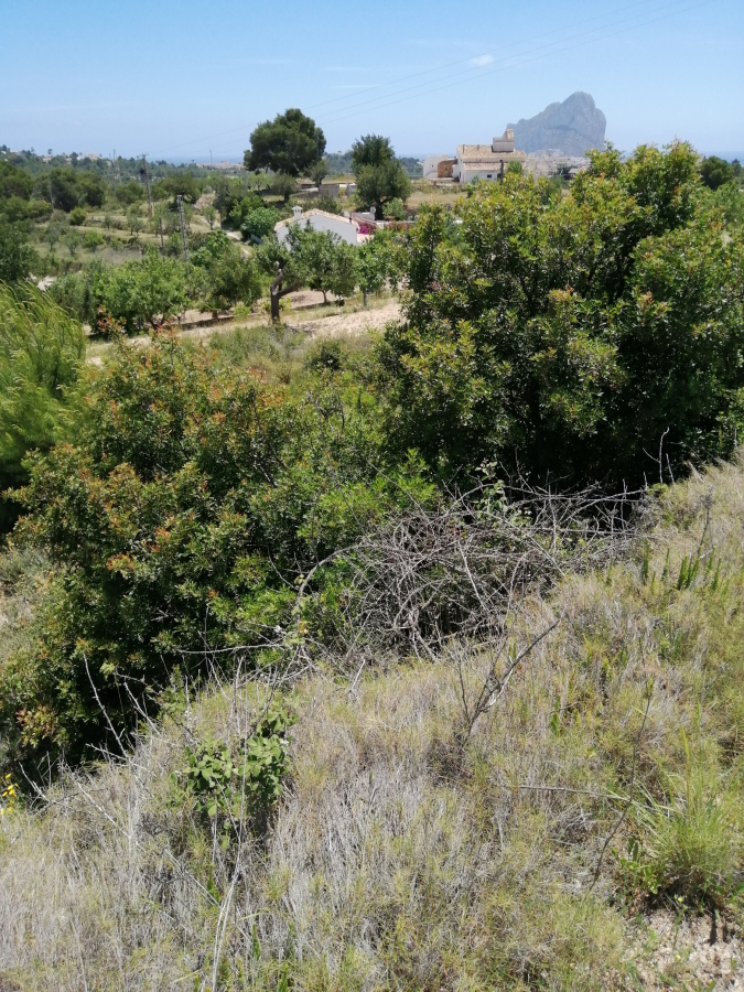 Plot for sale in Calpe — photo 8