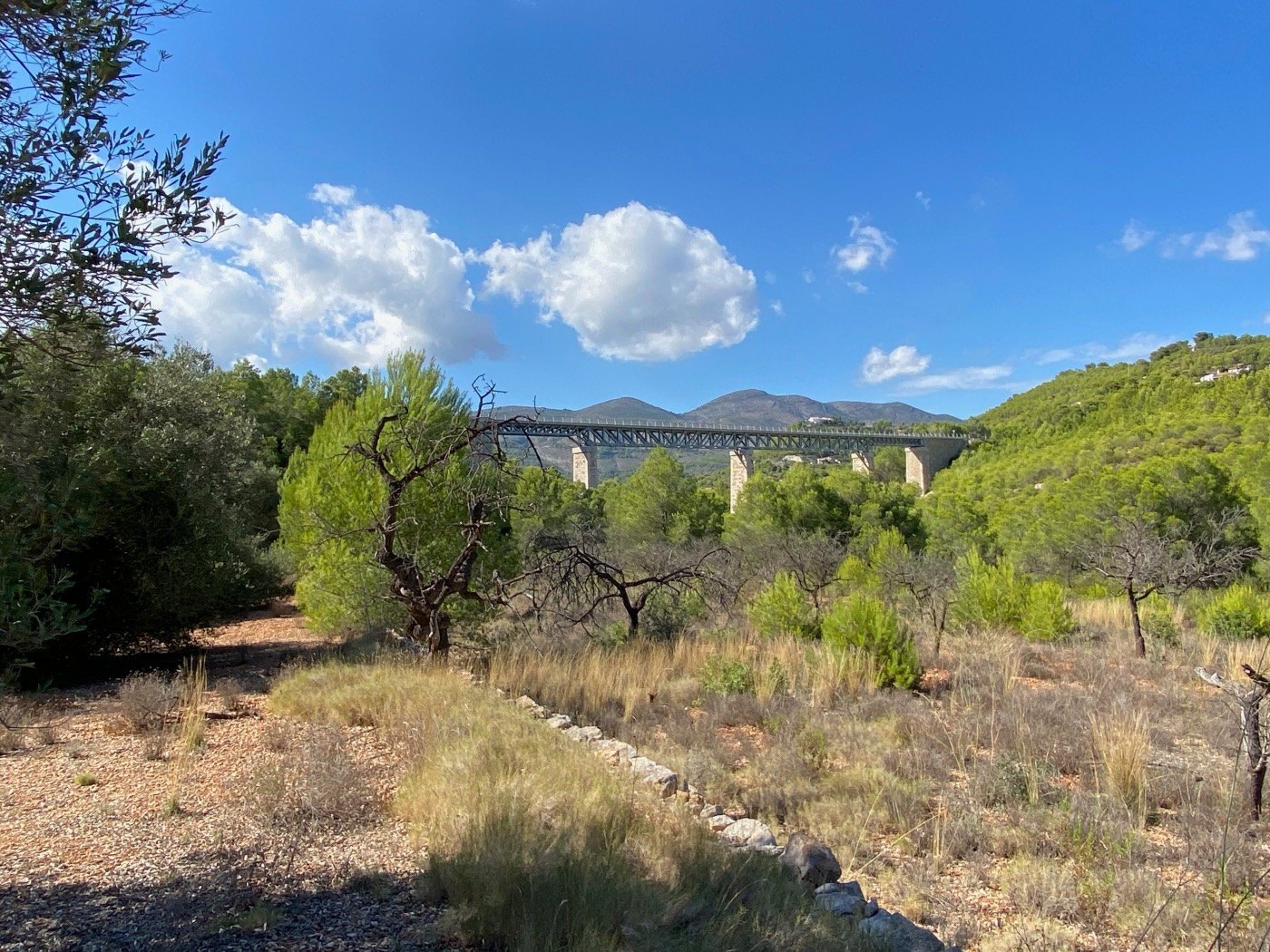 Well-situated rustic land, quite flat, in a rural area near Calpe. — photo 12
