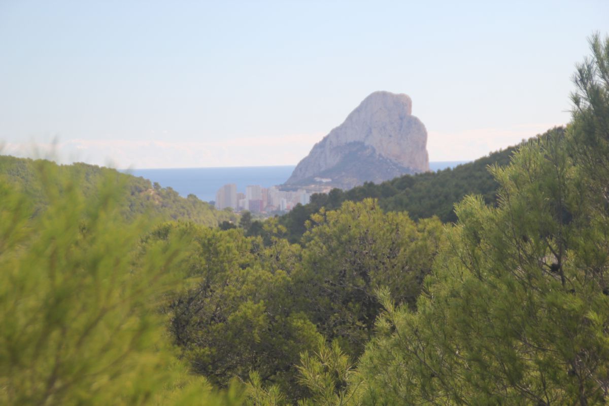 Plot for sale in Pda. Casamia, Benissa, Alicante — photo 10