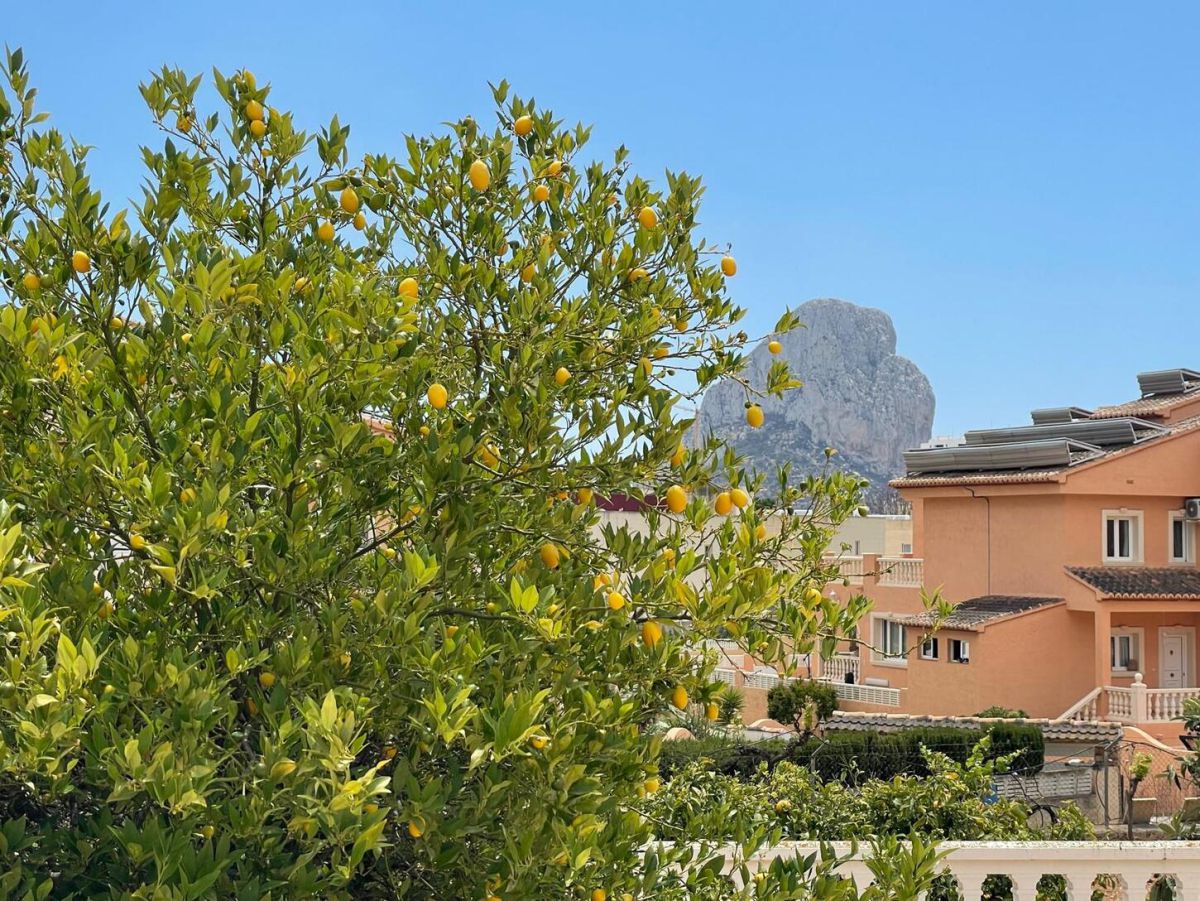 Villa for Sale in Pla Senieta, Calpe, Alicante — photo 27