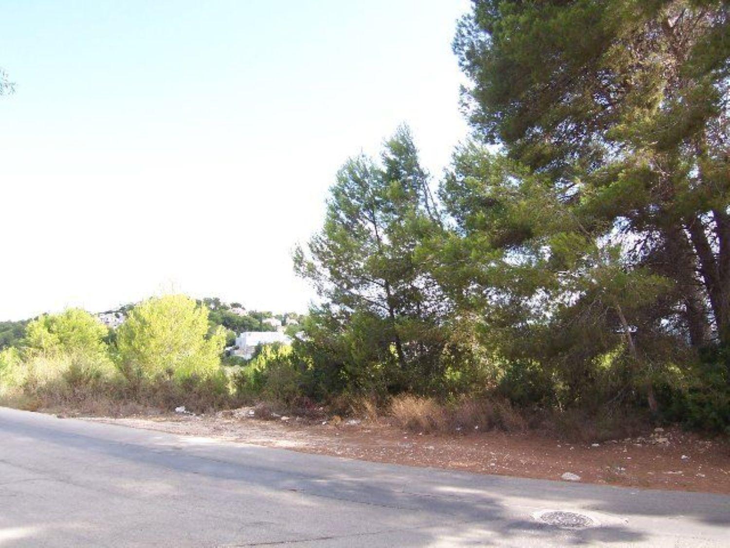 2 Stunning Villas in a Tranquil and Green Area. — photo 25