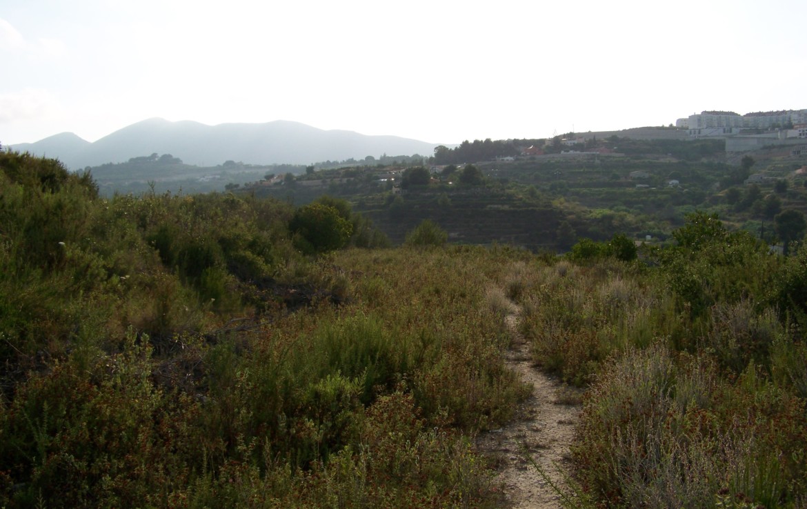 Plot for Sale in Benissa
