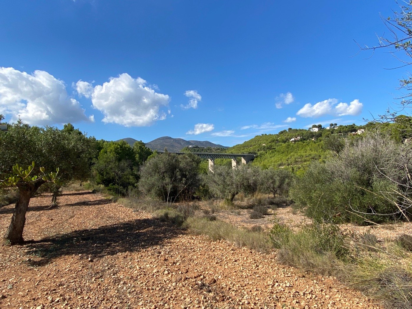 Well-situated rustic land, quite flat, in a rural area near Calpe. — photo 6