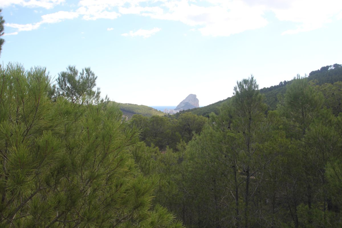 Plot for sale in Pda. Casamia, Benissa, Alicante — photo 2