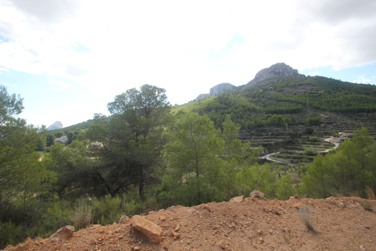 Plot for sale in Pda. Casamia, Benissa, Alicante — photo 9