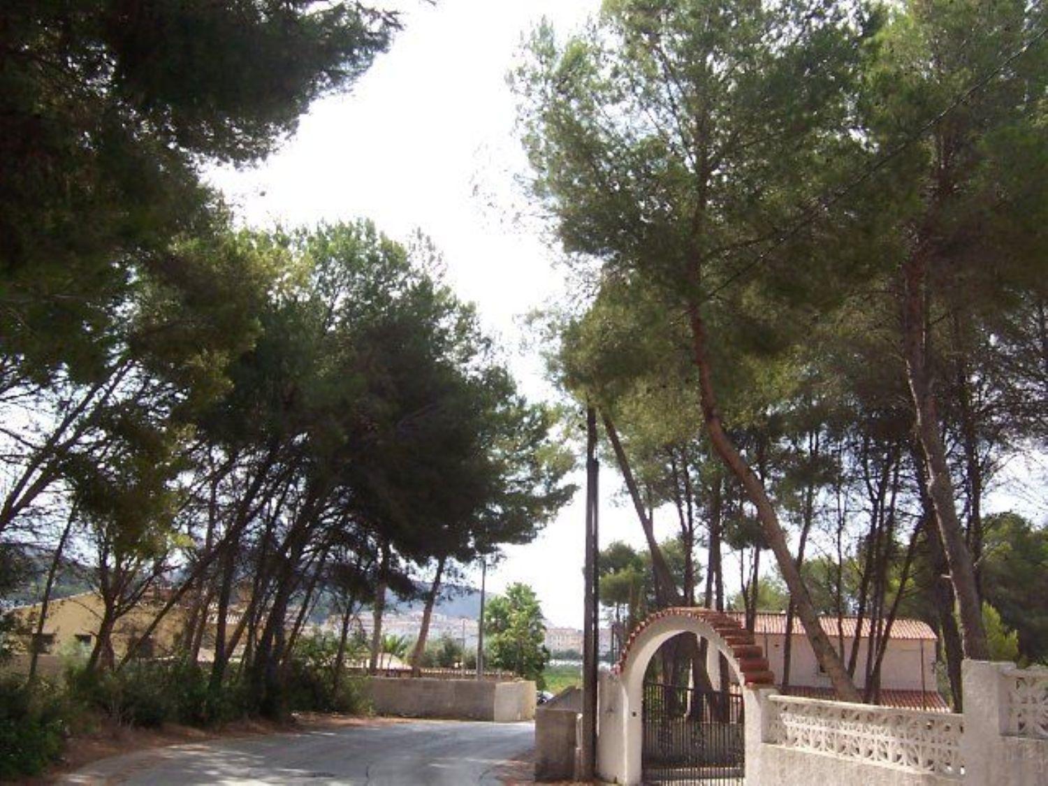 2 Stunning Villas in a Tranquil and Green Area. — photo 4