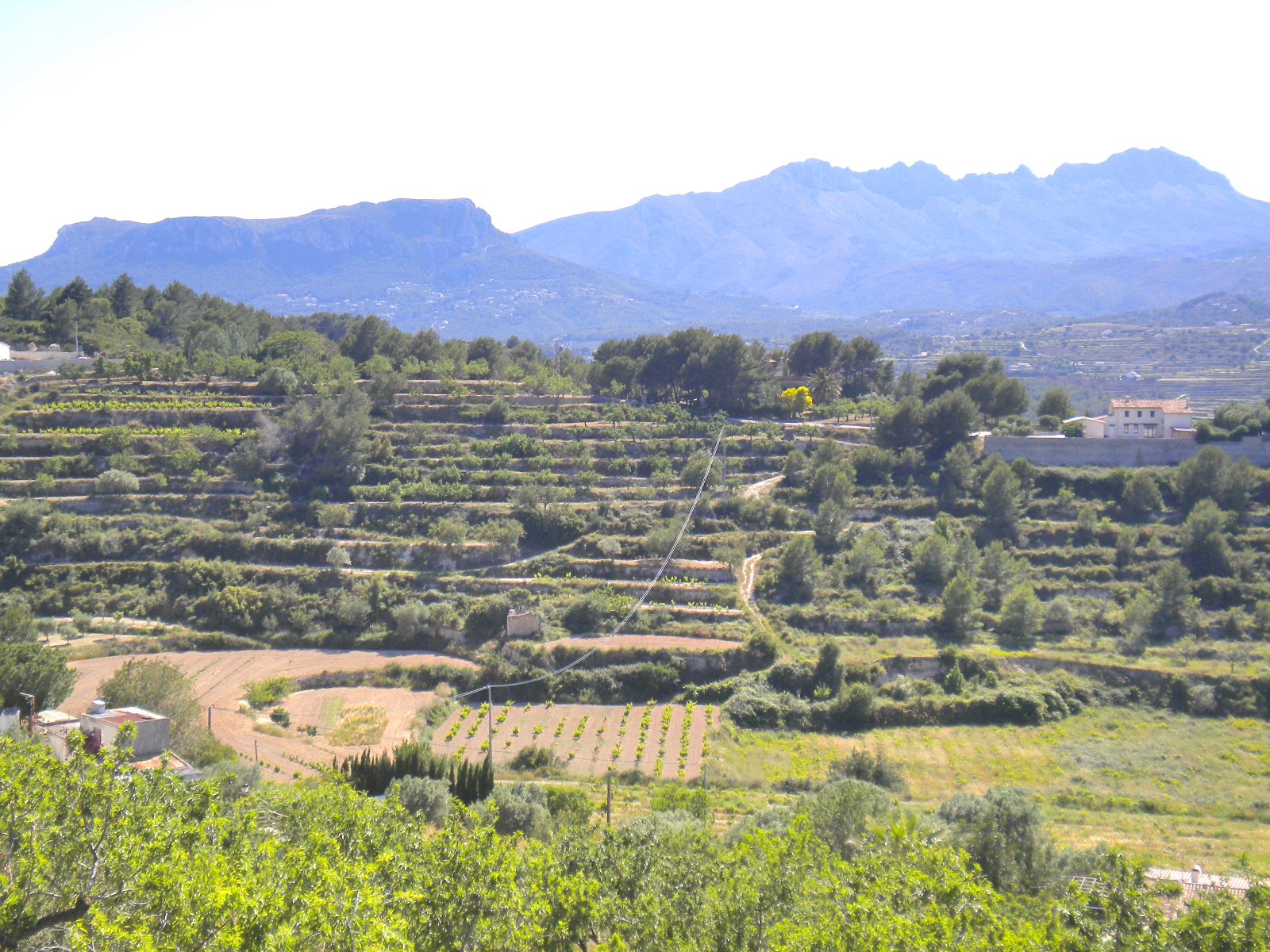 Großes Grundstück in Benissa — Foto 21