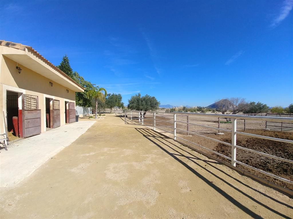 Farm for sale in Polígonos, Elche/elx, Alicante — photo 8