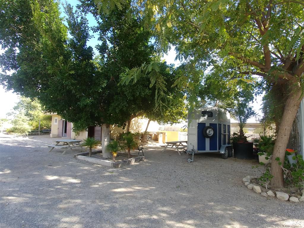 Farm for sale in Polígonos, Elche/elx, Alicante — photo 23