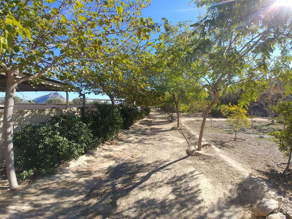 Farm for sale in Polígonos, Elche/elx, Alicante — photo 2