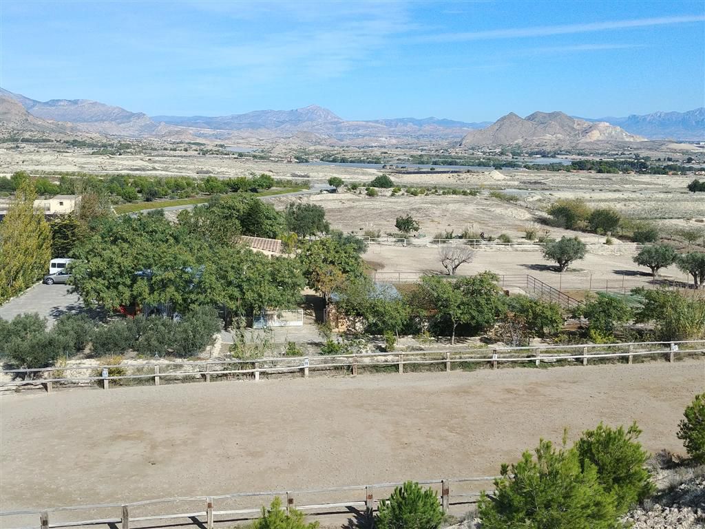 Farm for sale in Polígonos, Elche/elx, Alicante — photo 20