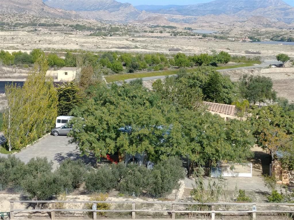 Farm for sale in Polígonos, Elche/elx, Alicante — photo 21