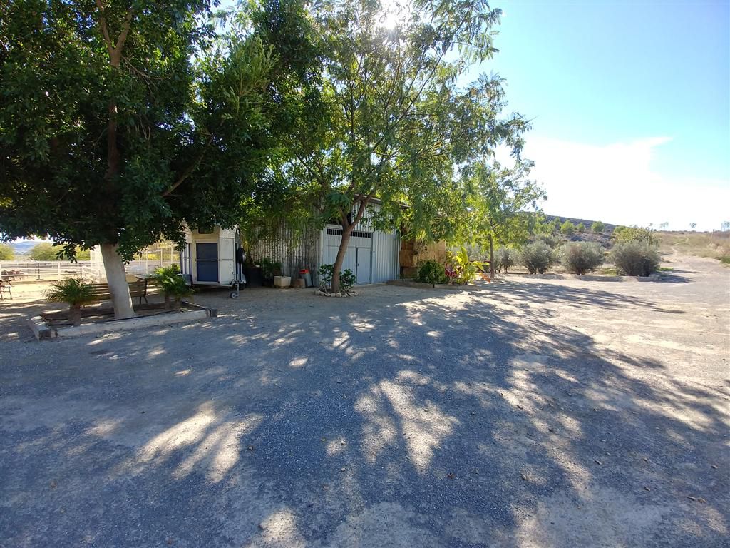 Farm for sale in Polígonos, Elche/elx, Alicante — photo 4