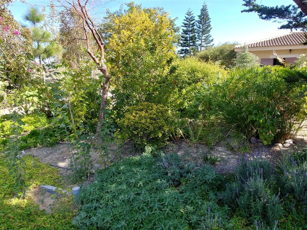 Farm for sale in Polígonos, Elche/elx, Alicante — photo 26