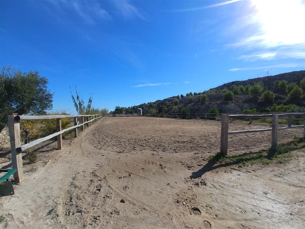 Farm for sale in Polígonos, Elche/elx, Alicante — photo 18