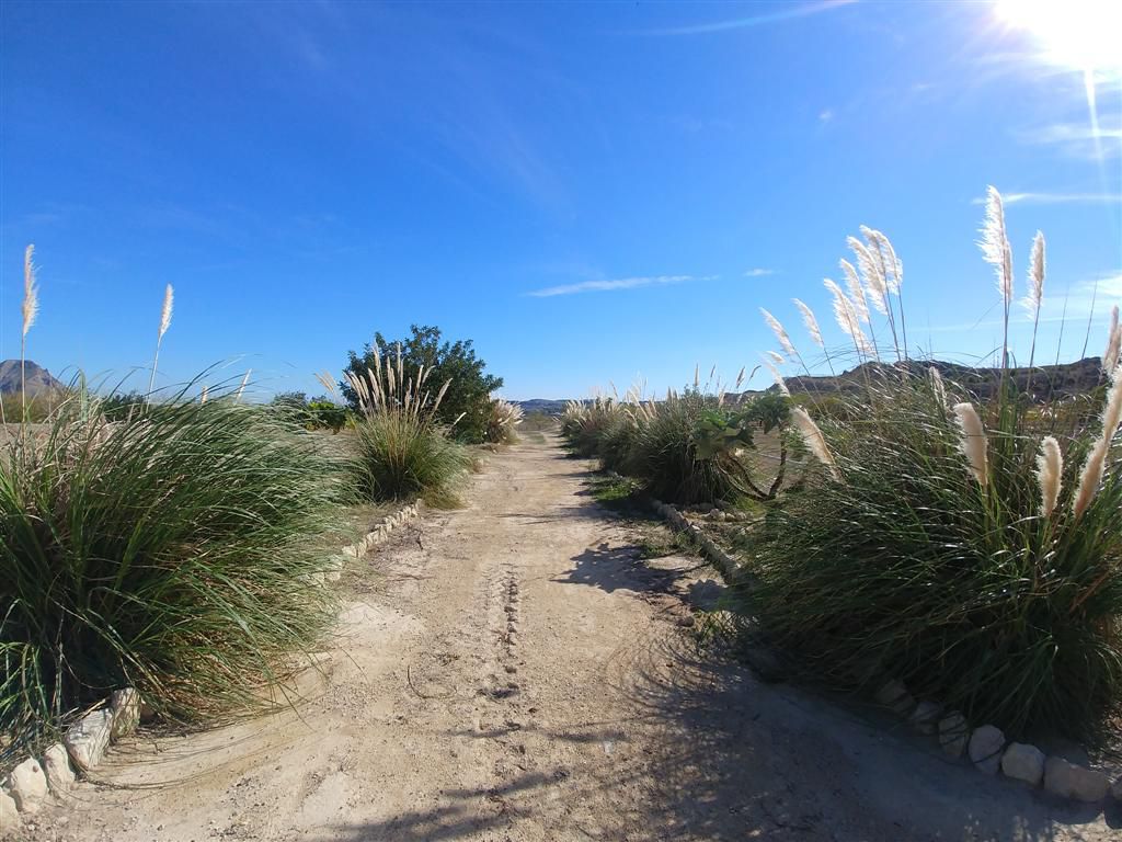 Farm for sale in Polígonos, Elche/elx, Alicante — photo 12