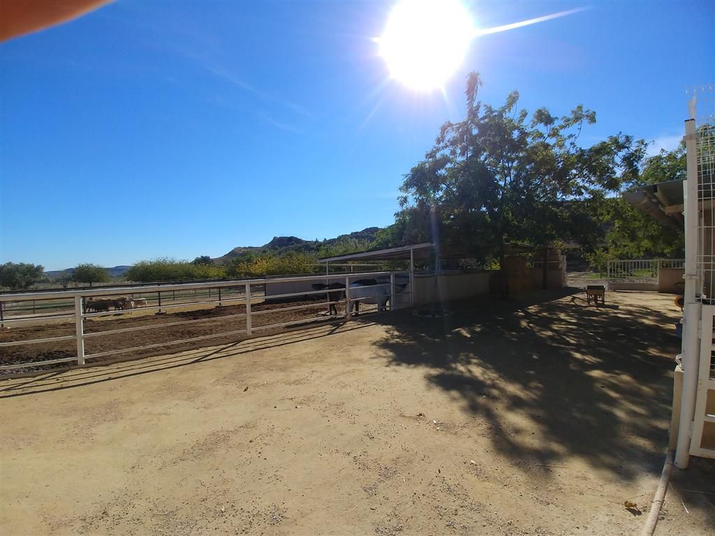 Farm for sale in Polígonos, Elche/elx, Alicante — photo 7