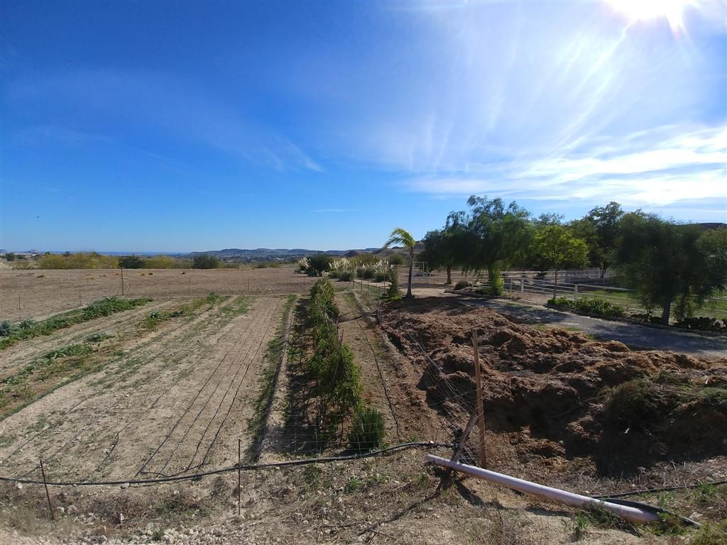 Farm for sale in Polígonos, Elche/elx, Alicante — photo 29