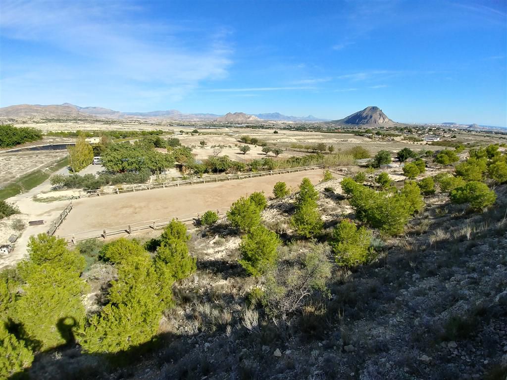 Farm for sale in Polígonos, Elche/elx, Alicante — photo 19