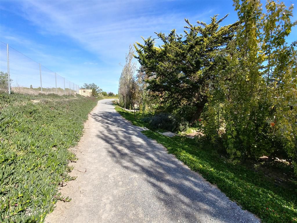 Farm for sale in Polígonos, Elche/elx, Alicante — photo 24